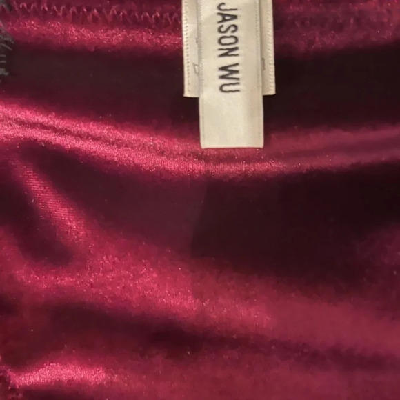 JASON WU Cheeky Velvet Lace Panties, Burgundy, L, NWT (Matching bra available) - Picture 9 of 12